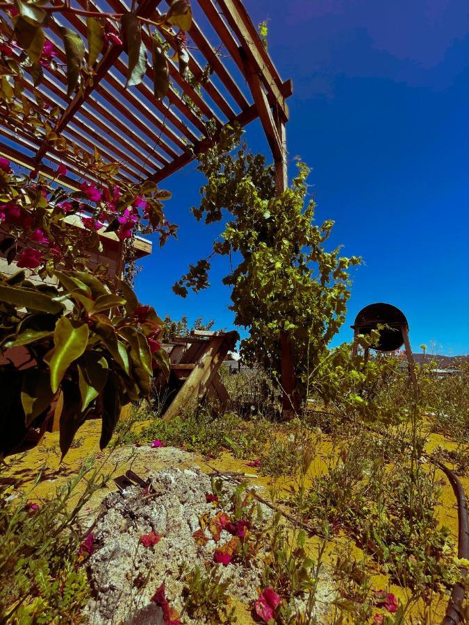 Sn Tony Hotel & Spa Villa de Juarez エクステリア 写真